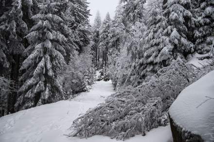 Le Chambard | Wanderungen in Kaysersberg