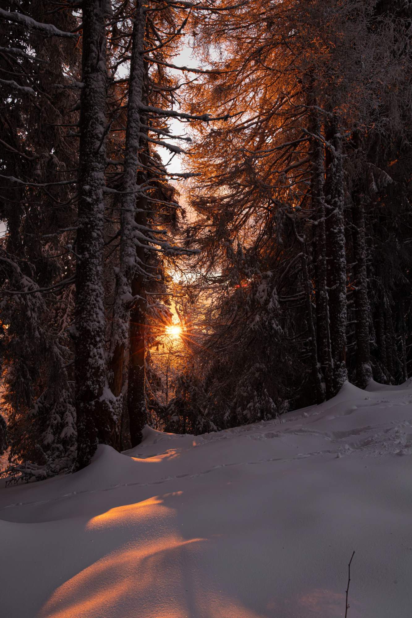 activités en hiver et été