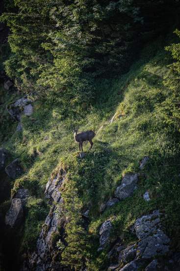 Le Chambard | Wanderungen in Kaysersberg