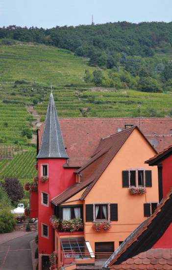 Le Chambard | Wanderungen in Kaysersberg