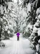 Ski Lac blanc| Le Chambard
