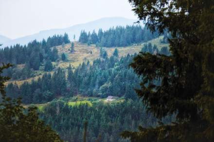 Le Chambard | Wanderungen in Kaysersberg