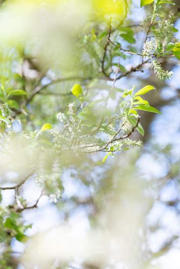 Offre dernière minute